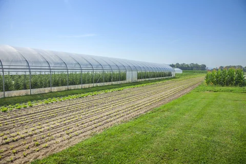 Specialised greenhouse structure for protected agriculture