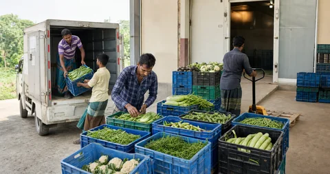 Fresh agricultural produce moving through organised cold handling